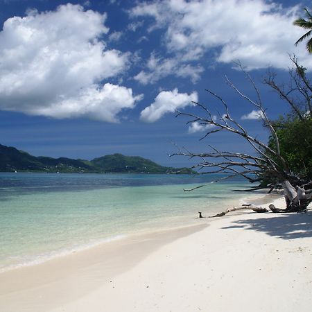Fairytern Chalets Cerf Island Ngoại thất bức ảnh