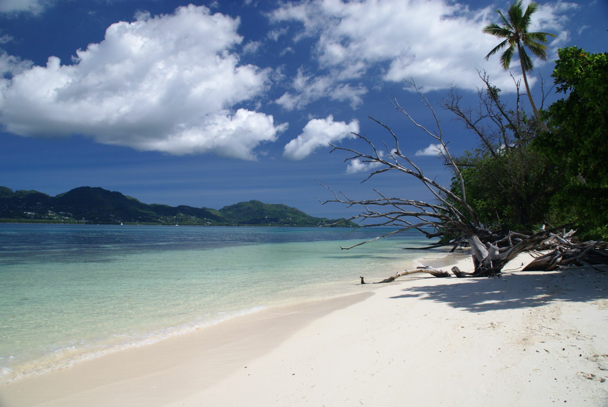 Fairytern Chalets Cerf Island Ngoại thất bức ảnh